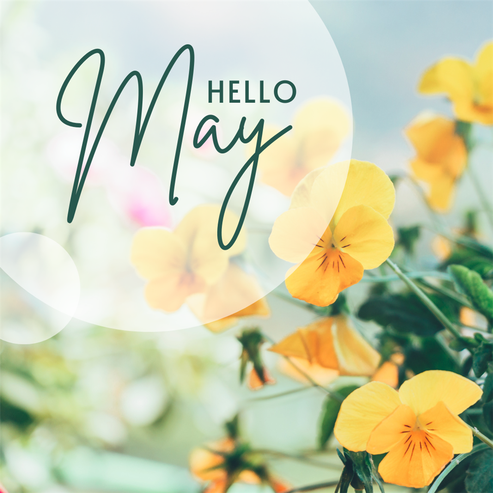 May May